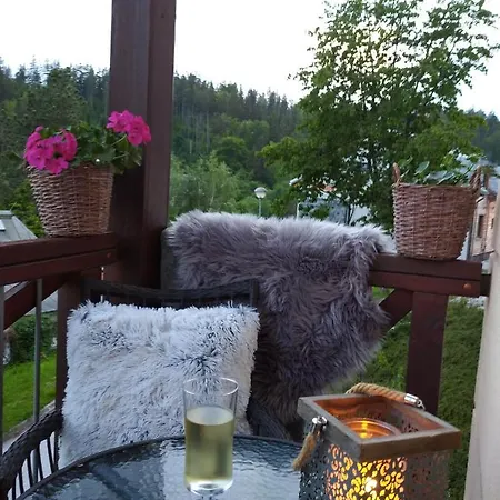 Kozel 2 Apartment Johannisbad